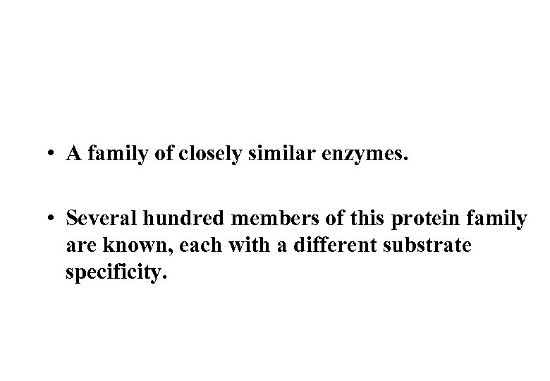  • A family of closely similar enzymes. • Several hundred members of this