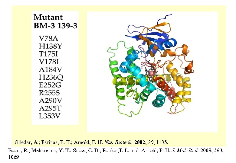Glieder, A. ; Farinas, E. T. ; Arnold, F. H. Nat. Biotech. 2002, 20,