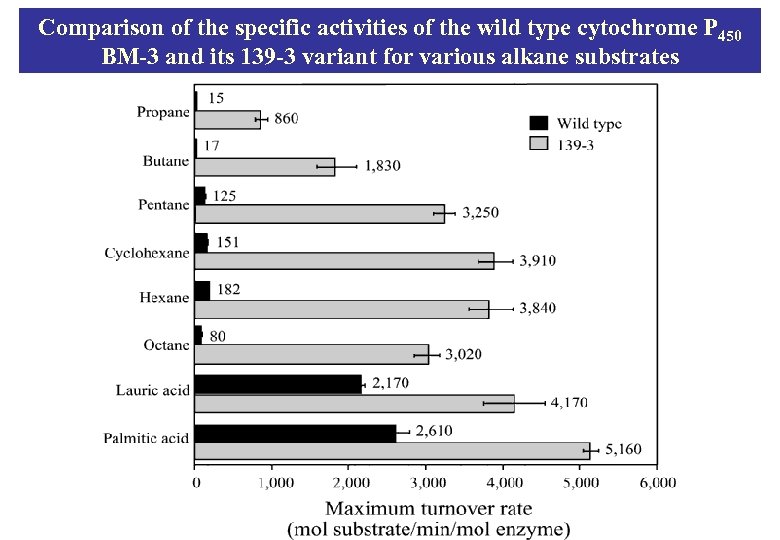 Comparison of the specific activities of the wild type cytochrome P 450 BM-3 and