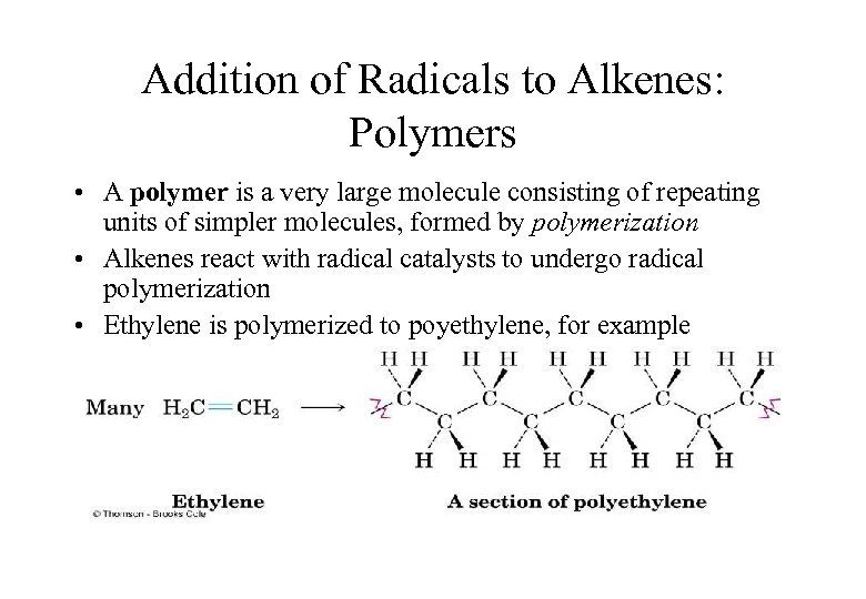 Addition of Radicals to Alkenes: Polymers • A polymer is a very large molecule