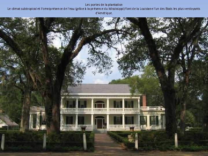 Les portes de la plantation Le climat subtropical et l'omniprésence de l'eau (grâce à