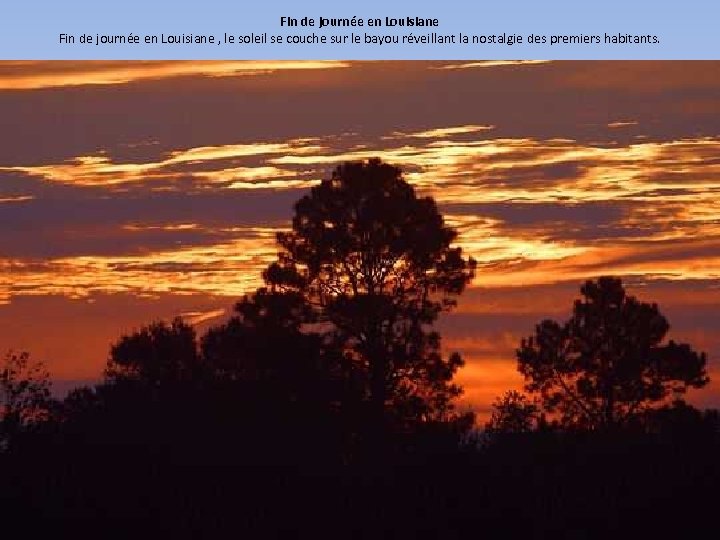 Fin de journée en Louisiane , le soleil se couche sur le bayou réveillant