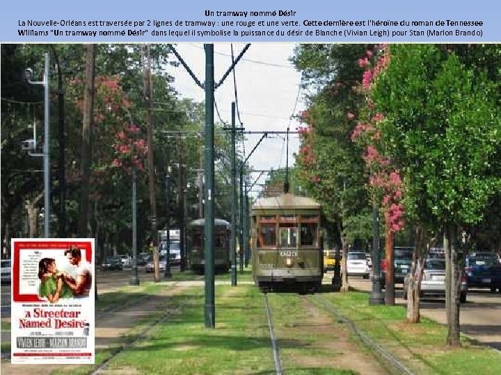Un tramway nommé Désir La Nouvelle-Orléans est traversée par 2 lignes de tramway :