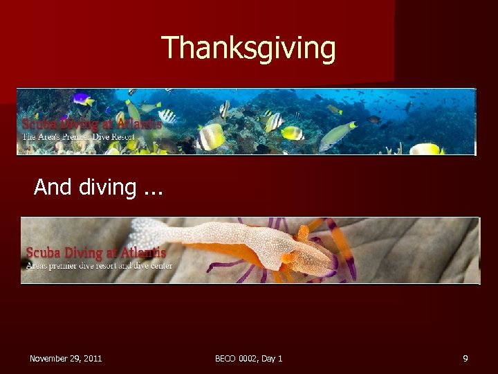 Thanksgiving And diving. . . November 29, 2011 BECO 0002, Day 1 9 