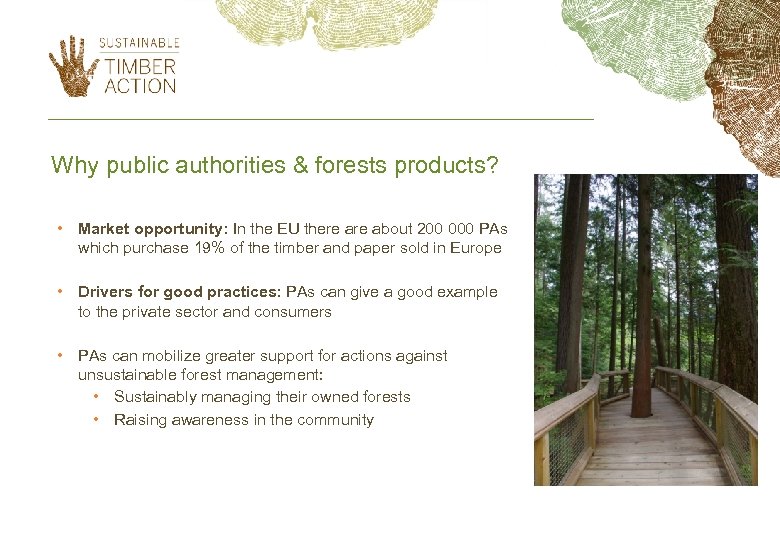 Why public authorities & forests products? • Market opportunity: In the EU there about