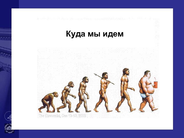 Куда мы идем 