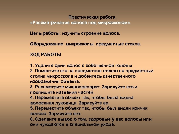 Практическая работа. «Рассматривание волоса под микроскопом» . Цель работы: изучить строение волоса. Оборудование: микроскопы,