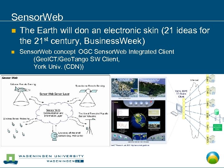 Sensor. Web n The Earth will don an electronic skin (21 ideas for the