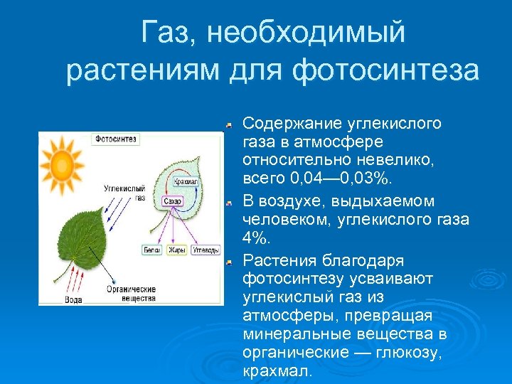 Газ, необходимый растениям для фотосинтеза Содержание углекислого газа в атмосфере относительно невелико, всего 0,