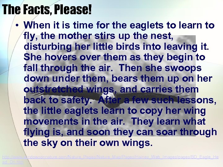 The Facts, Please! • When it is time for the eaglets to learn to