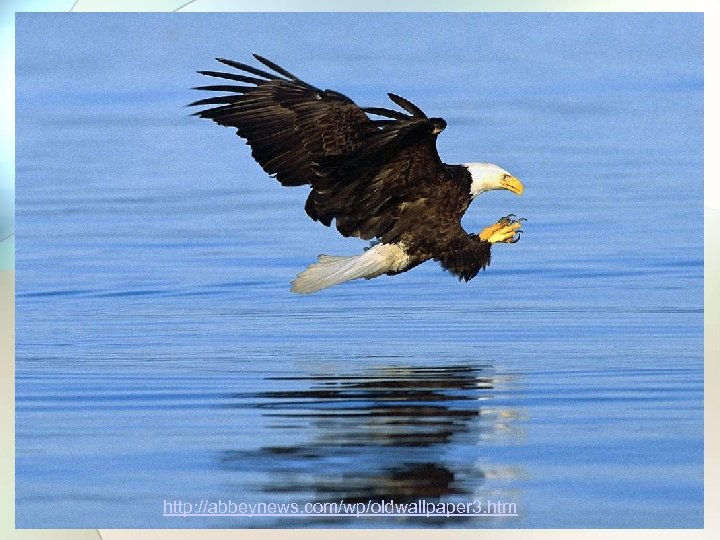 http: //abbeynews. com/wp/oldwallpaper 3. htm 