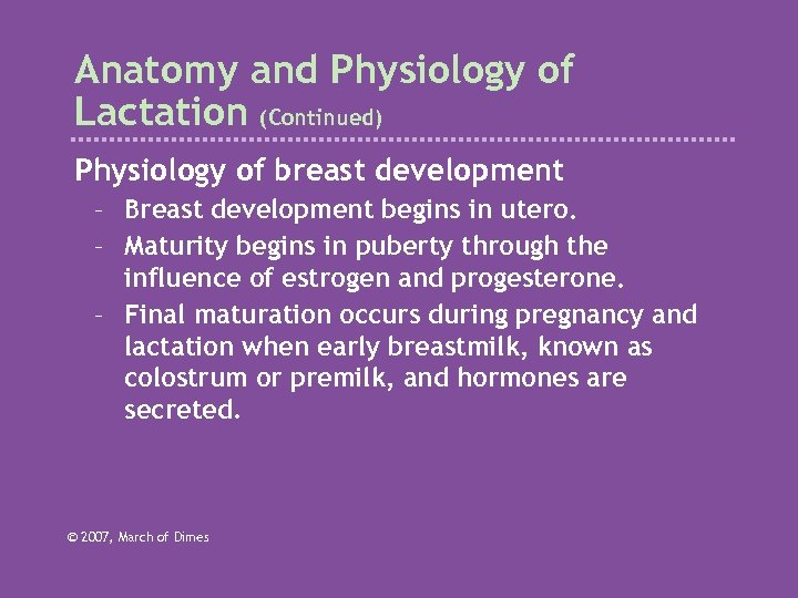 Anatomy and Physiology of Lactation (Continued) Physiology of breast development – Breast development begins