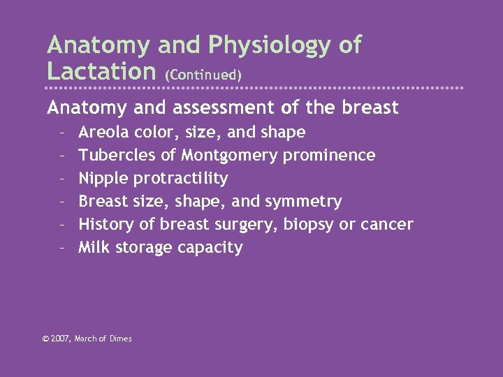 Anatomy and Physiology of Lactation (Continued) Anatomy and assessment of the breast – –