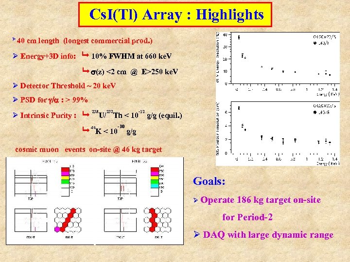 Cs. I(Tl) Array : Highlights Ø 40 cm length (longest commercial prod. ) Ø