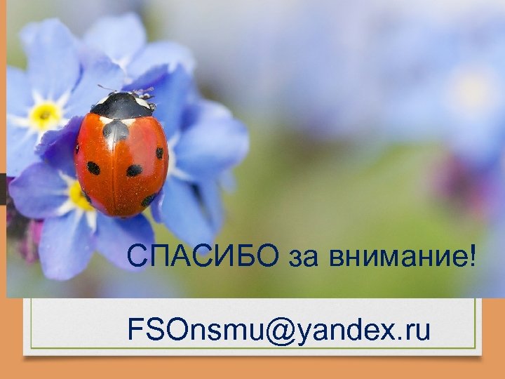 СПАСИБО за внимание! FSOnsmu@yandex. ru 