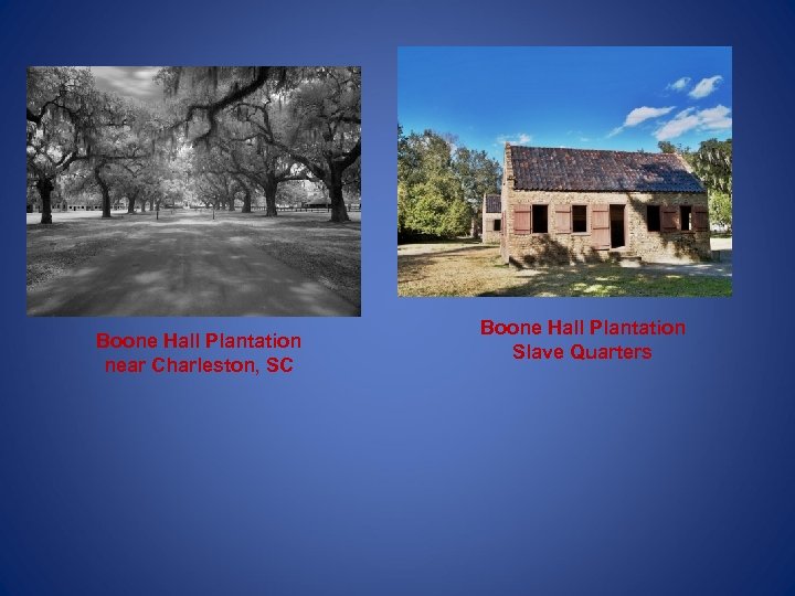 Boone Hall Plantation near Charleston, SC Boone Hall Plantation Slave Quarters 