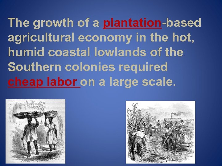 The growth of a plantation-based agricultural economy in the hot, humid coastal lowlands of