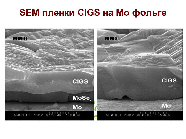 SEM пленки CIGS на Mo фольге cross-section image of a different parts of film