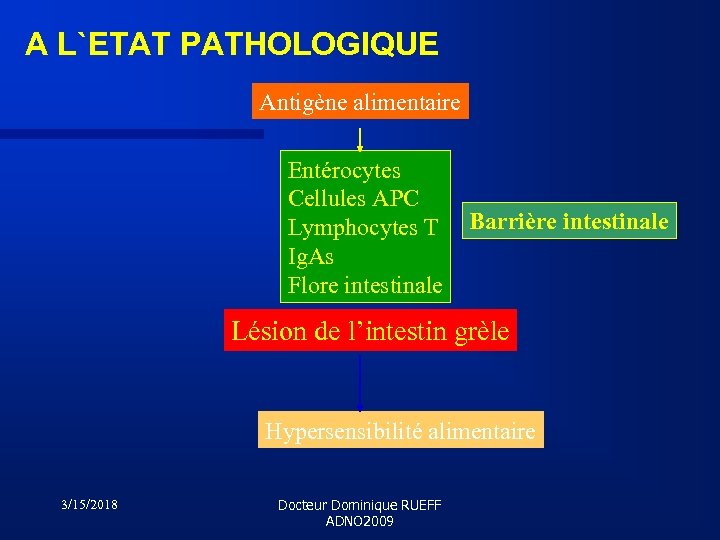 A L`ETAT PATHOLOGIQUE Antigène alimentaire Entérocytes Cellules APC Lymphocytes T Ig. As Flore intestinale