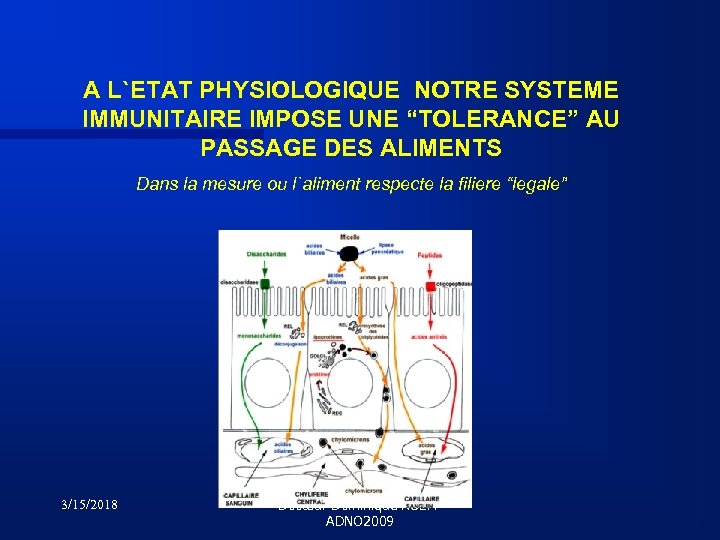 A L`ETAT PHYSIOLOGIQUE NOTRE SYSTEME IMMUNITAIRE IMPOSE UNE “TOLERANCE” AU PASSAGE DES ALIMENTS Dans