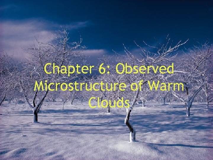 Chapter 6: Observed Microstructure of Warm Clouds 