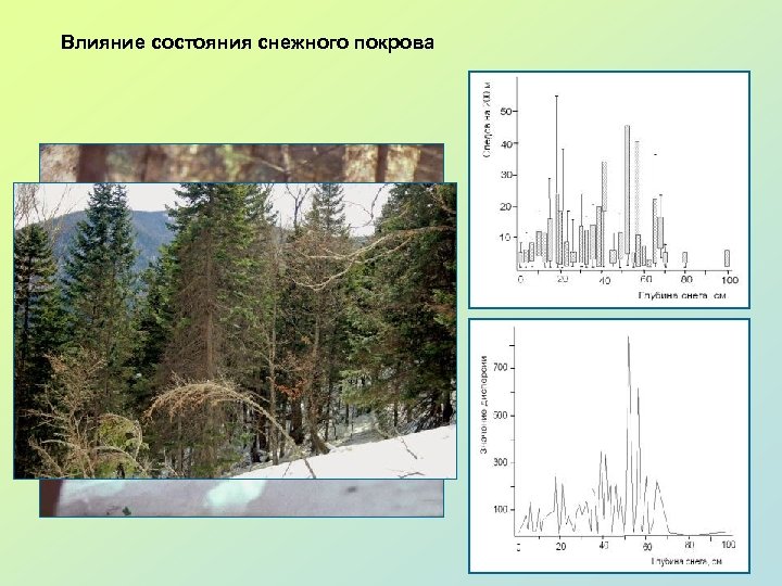 Влияние состояния снежного покрова 