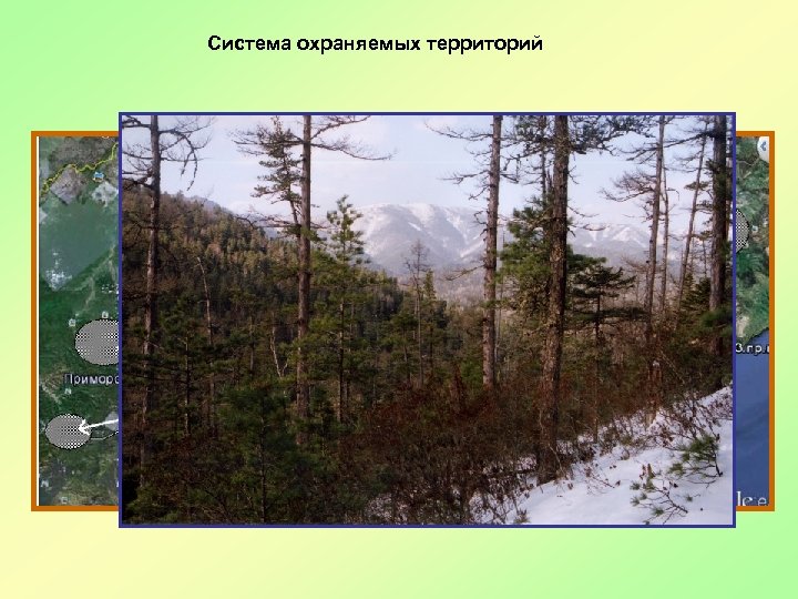 Система охраняемых территорий 