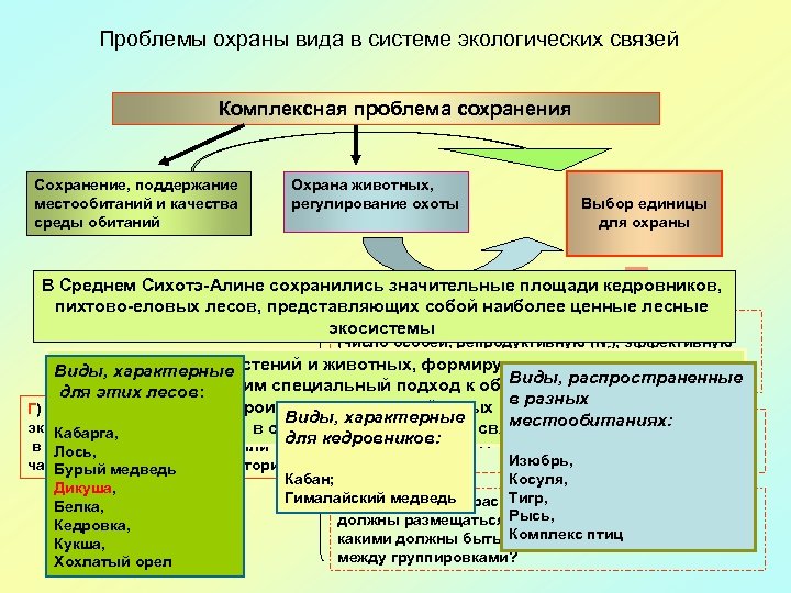 Проблемы охраны вида в системе экологических связей Комплексная проблема сохранения Сохранение, поддержание местообитаний и
