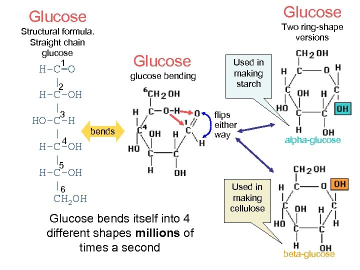 Glucose Structural formula. Straight chain glucose 1 H-C=O | 2 H-C-OH | 3 HO-C-H