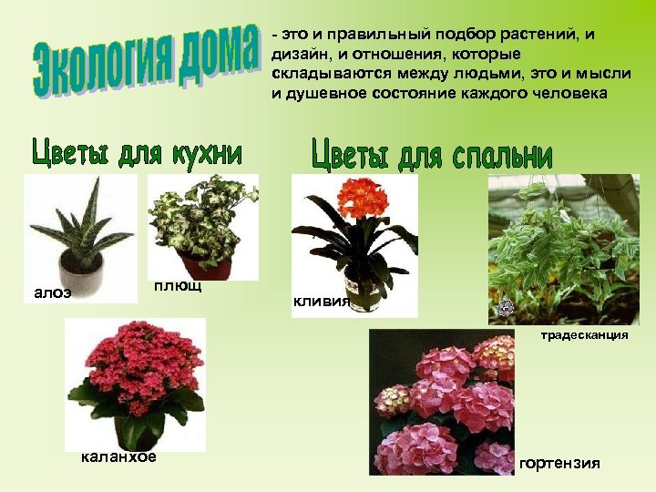 - это и правильный подбор растений, и дизайн, и отношения, которые складываются между людьми,