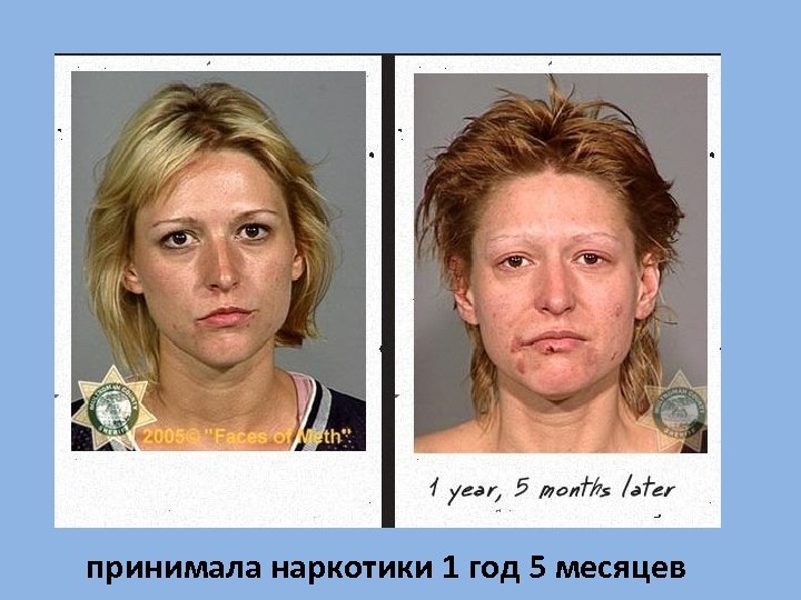  принимала наркотики 1 год 5 месяцев 