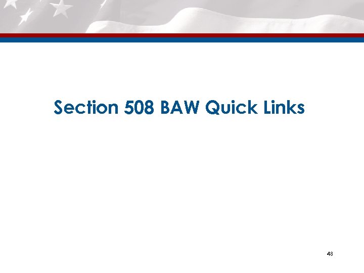 Section 508 BAW Quick Links 48 