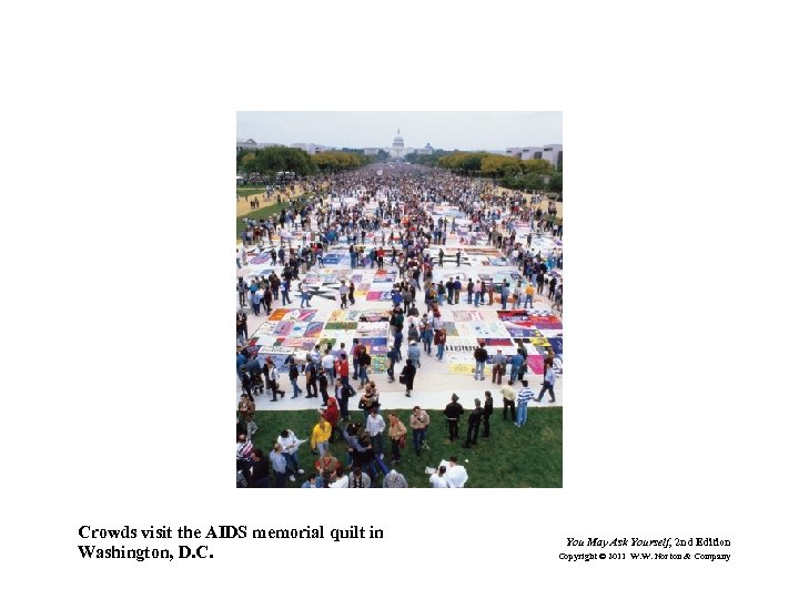 Crowds visit the AIDS memorial quilt in Washington, D. C. You May Ask Yourself,