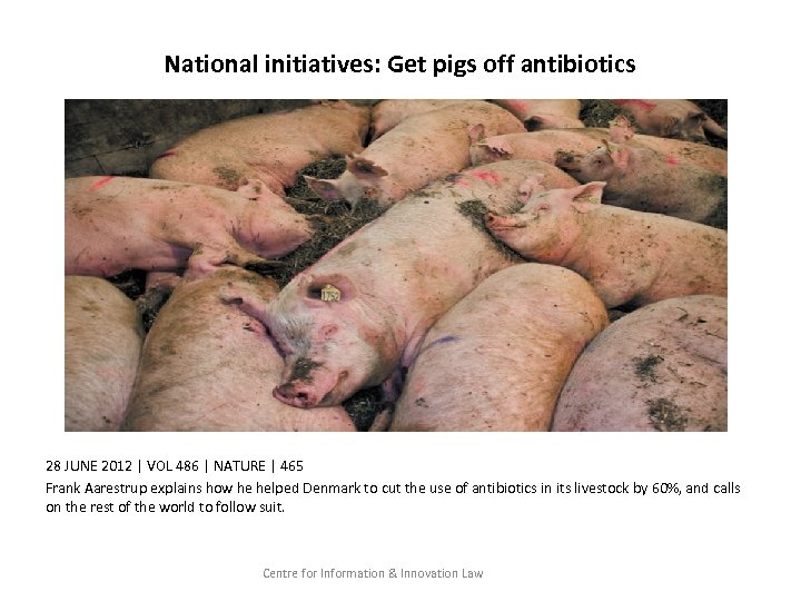 National initiatives: Get pigs off antibiotics 28 JUNE 2012 | VOL 486 | NATURE