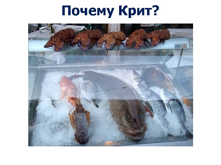 Почему Крит? 