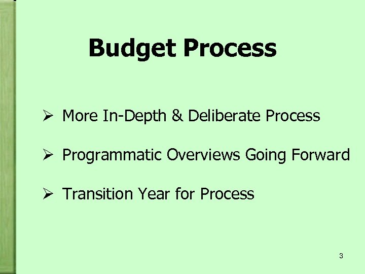 Budget Process Ø More In-Depth & Deliberate Process Ø Programmatic Overviews Going Forward Ø