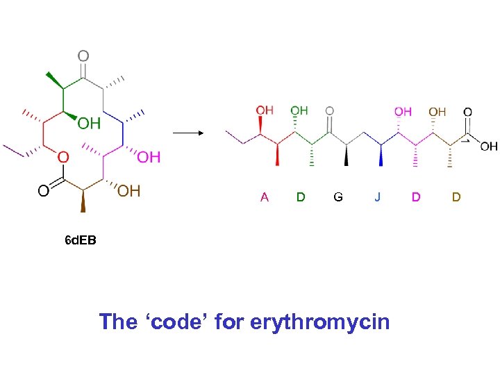 A D G J 6 d. EB The ‘code’ for erythromycin D D 