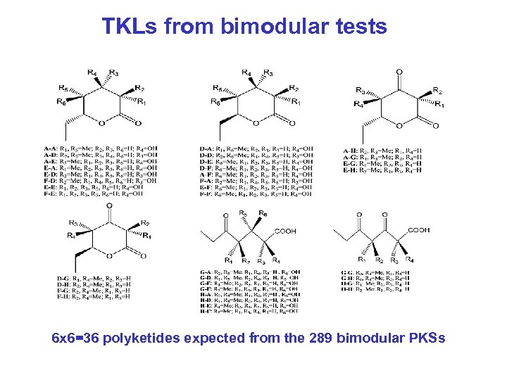 TKLs from bimodular tests 6 x 6=36 polyketides expected from the 289 bimodular PKSs