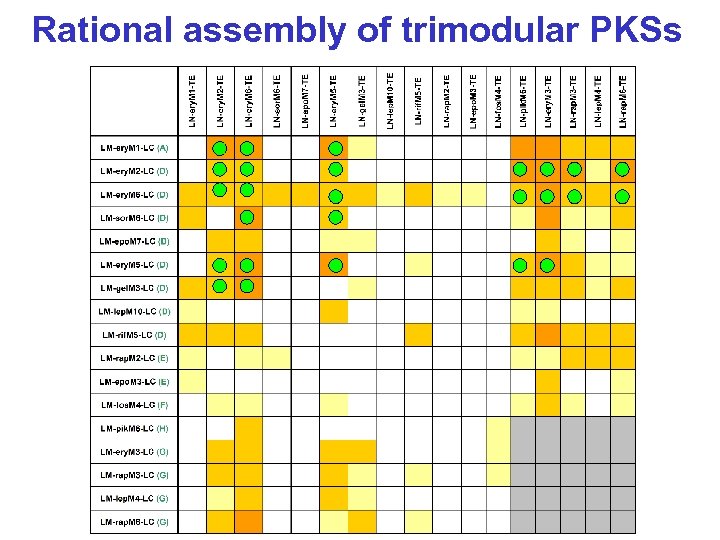 Rational assembly of trimodular PKSs 