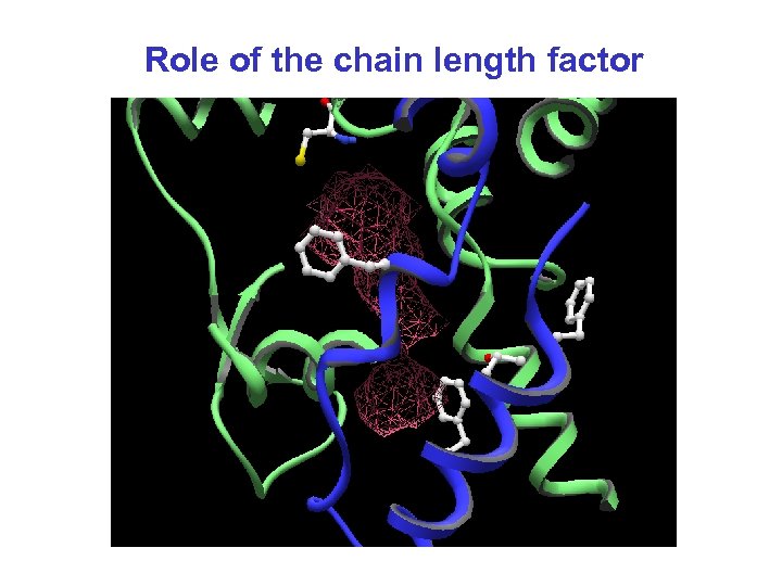 Role of the chain length factor 
