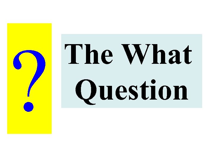 ? The What Question 