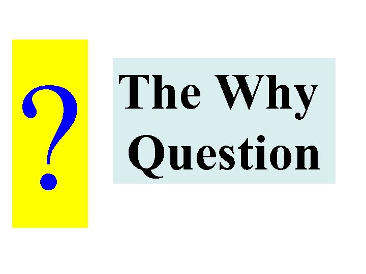 ? The Why Question 