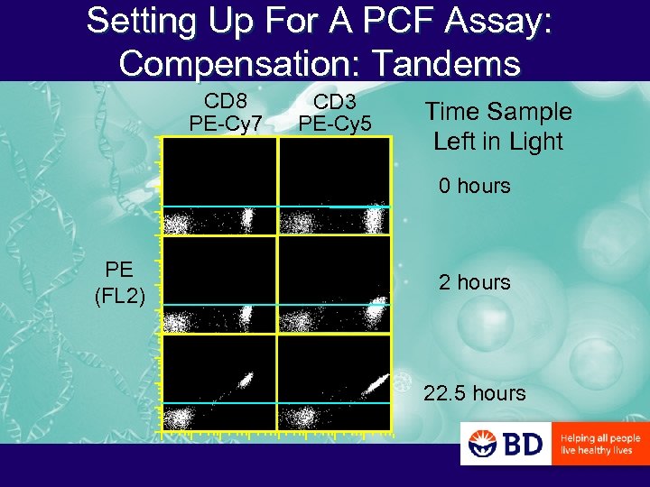 Setting Up For A PCF Assay: Compensation: Tandems CD 8 PE-Cy 7 CD 3