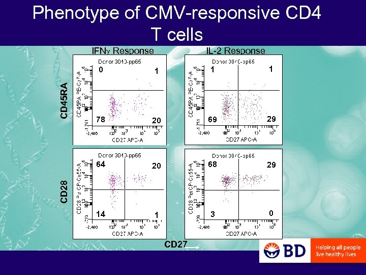 Phenotype of CMV-responsive CD 4 T cells IFNg Response IL-2 Response 1 1 78