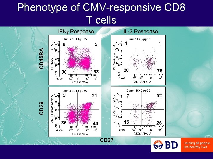 Phenotype of CMV-responsive CD 8 T cells IFNg Response IL-2 Response 3 1 1