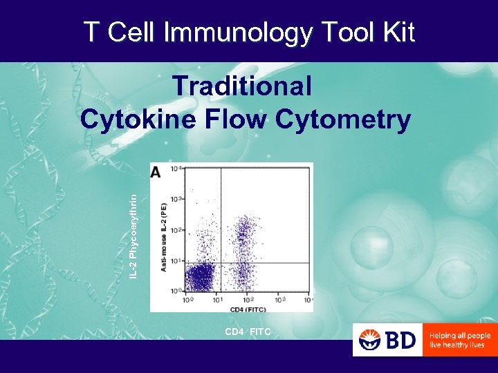 T Cell Immunology Tool Kit IL-2 Phycoerythrin Traditional Cytokine Flow Cytometry CD 4 FITC