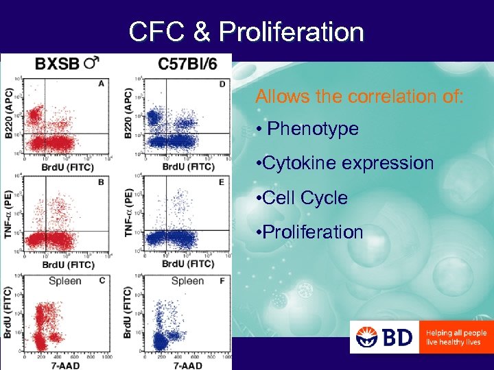 CFC & Proliferation Allows the correlation of: • Phenotype • Cytokine expression • Cell