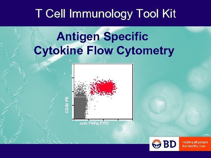 T Cell Immunology Tool Kit CD 69 PE Antigen Specific Cytokine Flow Cytometry anti-TNF