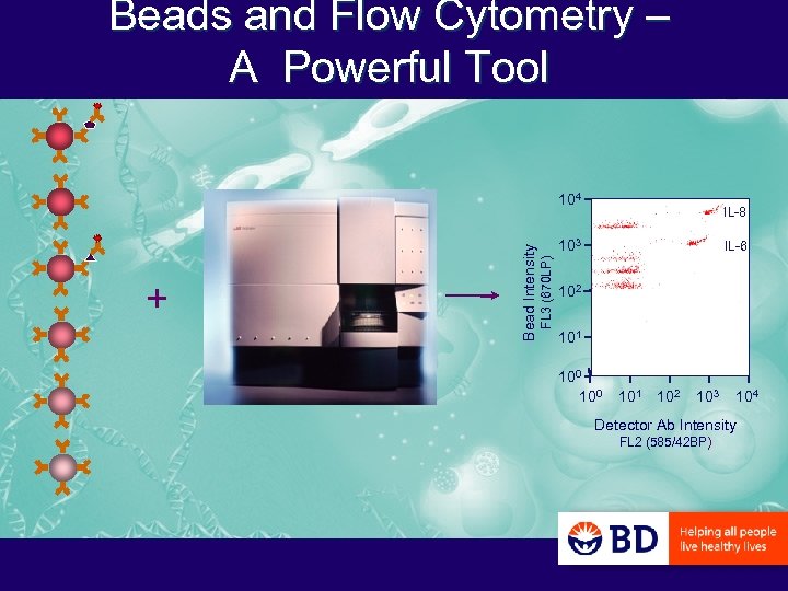 Beads and Flow Cytometry – A Powerful Tool IL-8 103 FL 3 (670 LP)