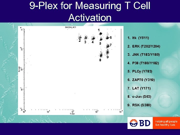 9 -Plex for Measuring T Cell Activation 1 2 6 3 4 7 5